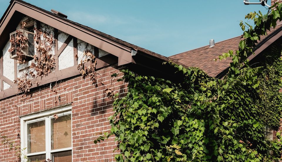 Brick bungalow overgrown with ivy, sold as-is