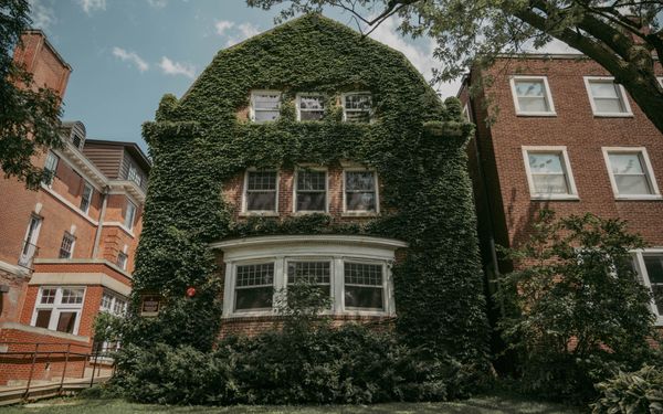 Ivy-covered brick house with a bay window in Chicago